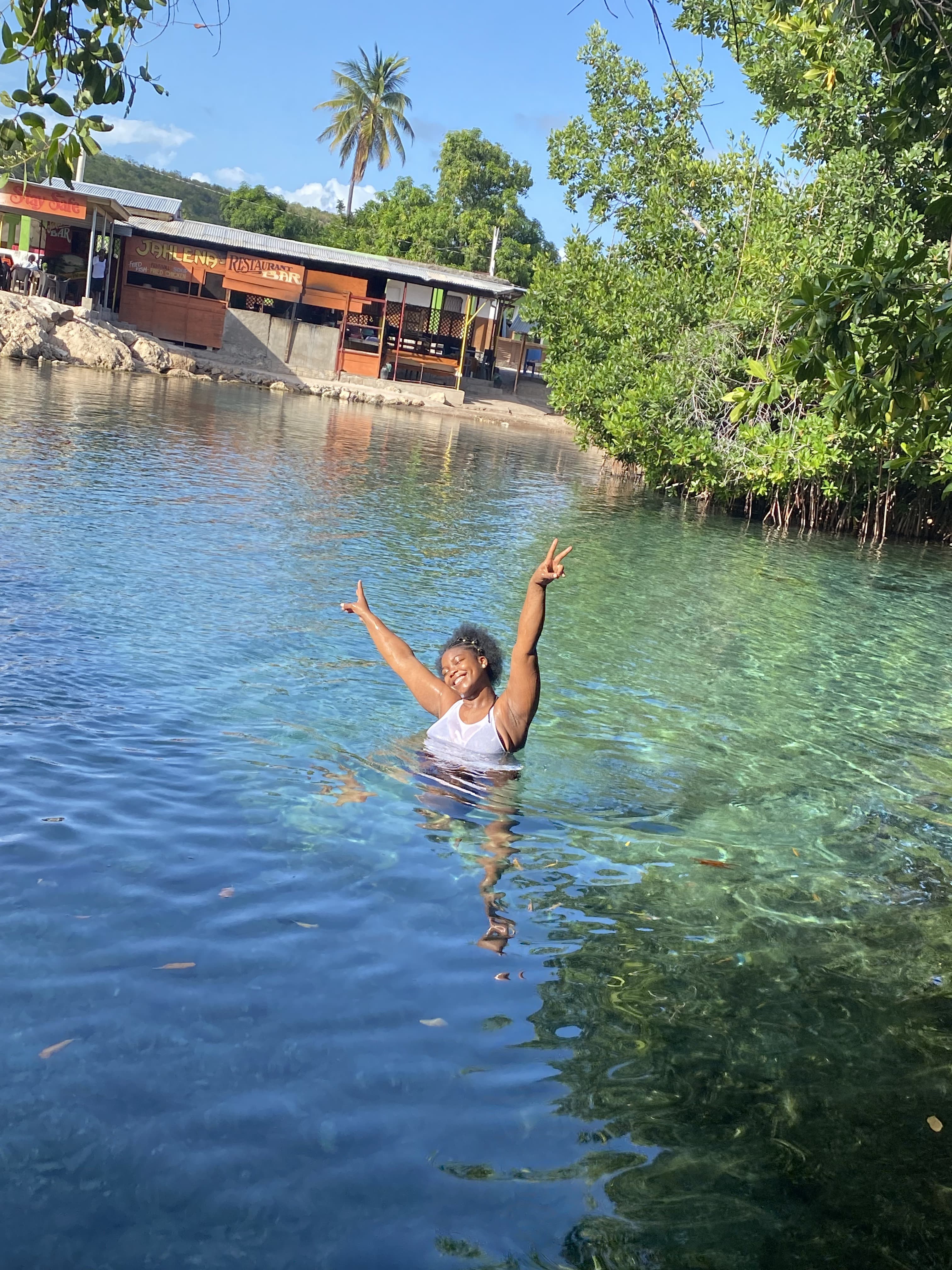 Blue Lagoon & Port Antonio